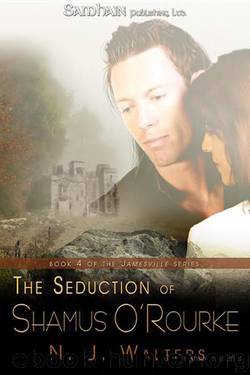 The Seduction of Shamus O'Rourke by N. J. Walters