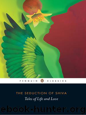 The Seduction of Shiva by A N D Haksar