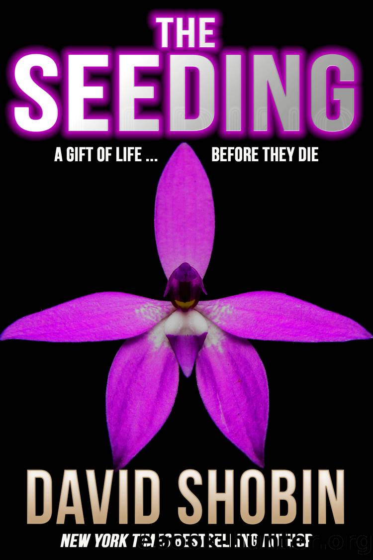 The Seeding by David Shobin
