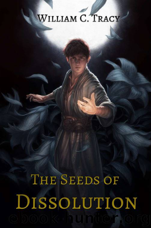 The Seeds of Dissolution_Dissolution Cycle by William C. Tracy