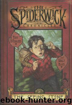 The Seeing Stone (02) by Tony DiTerlizzi & Holly Black