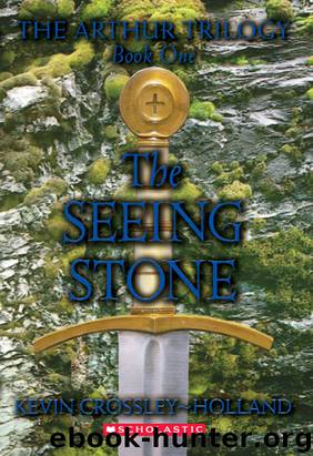 The Seeing Stone by Kevin Crossley-Holland