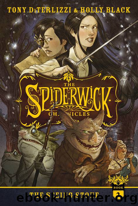 The Seeing Stone by Tony Diterlizzi & Holly Black