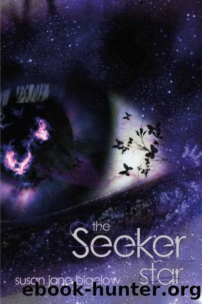 The Seeker Star by Susan Jane Bigelow