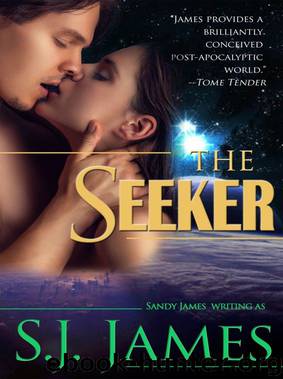 The Seeker by Sandy (SJ) James