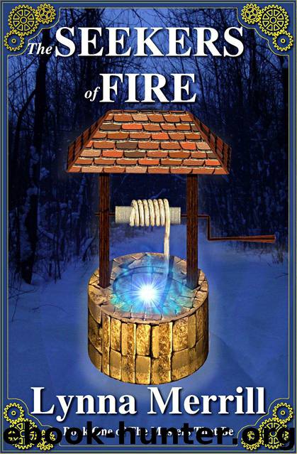 The Seekers of Fire by Lynna Merrill