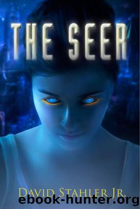 The Seer by David Stahler Jr