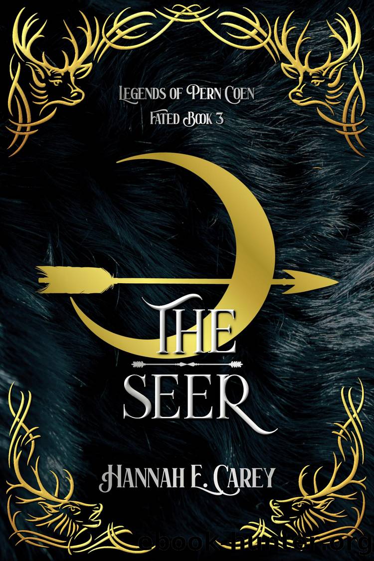 The Seer by Hannah E Carey