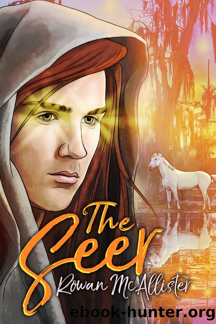 The Seer by Rowan McAllister