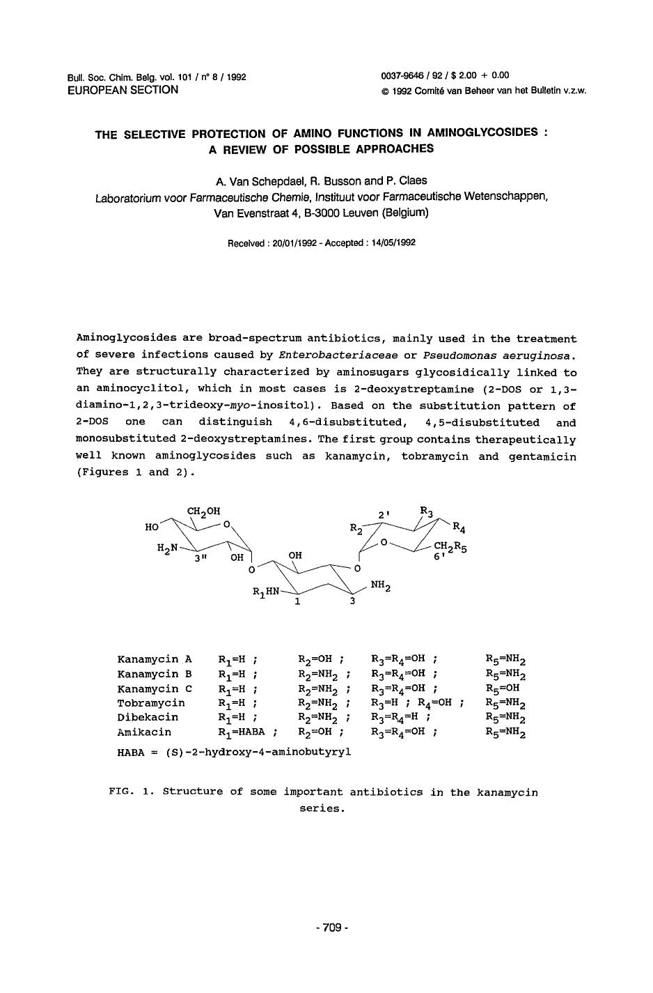 The Selective Protection of Amino Functions in Aminoglycosides: A Review of Possible Approaches by Unknown