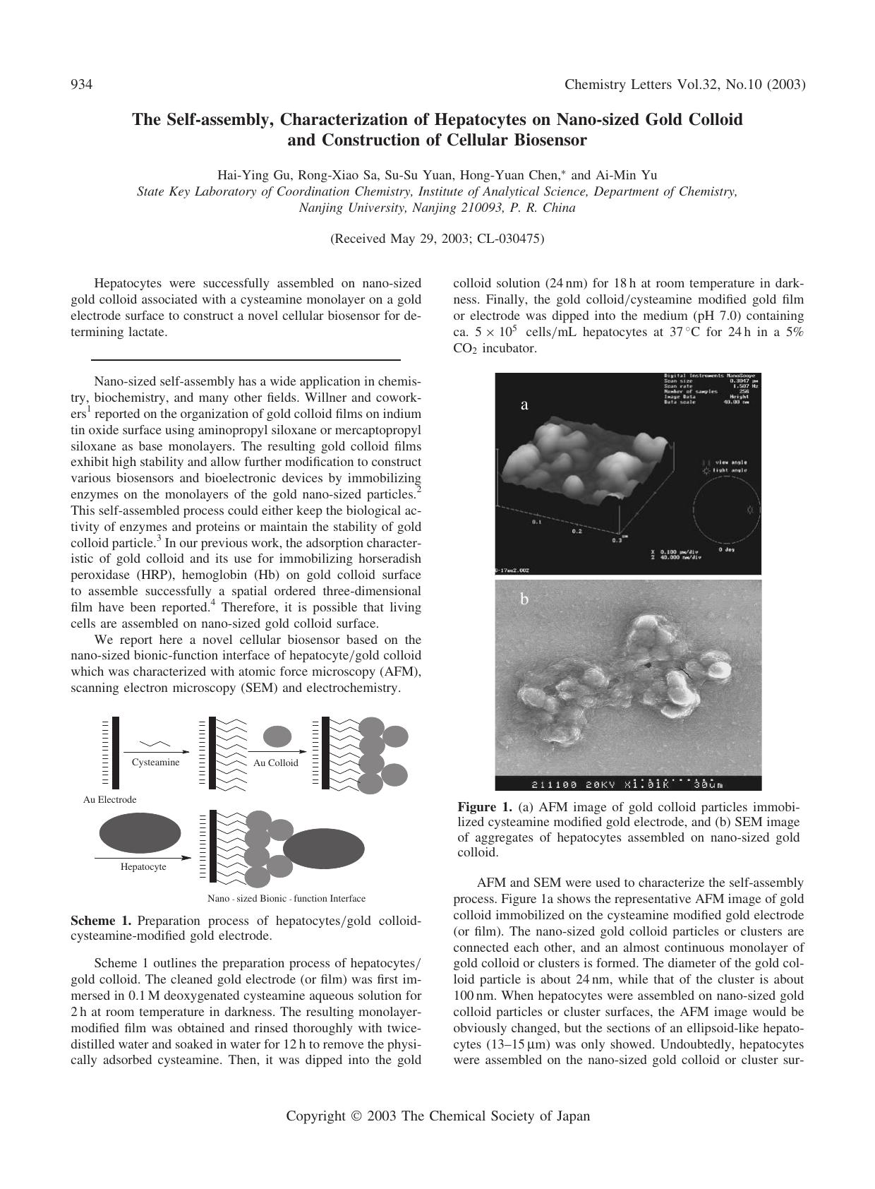The Self-assembly, Characterization of Hepatocytes on Nano-sized Gold Colloid and Construction of Cellular Biosensor by Hai-Ying Gu Rong-Xiao Sa Su-Su Yuan Hong-Yuan Chen and Ai-Min Yu