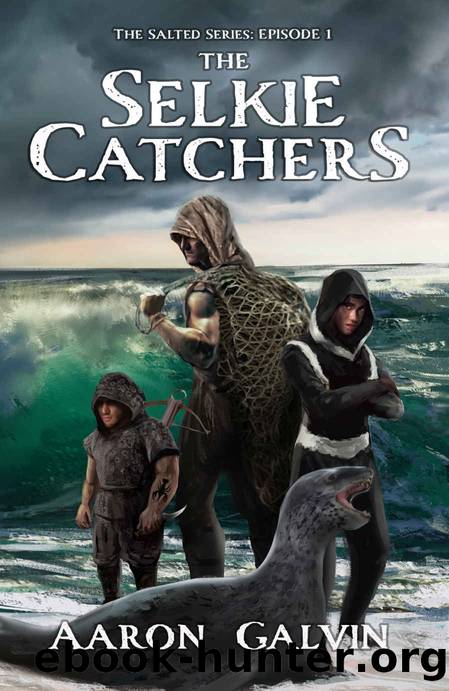 The Selkie Catchers by Aaron Galvin