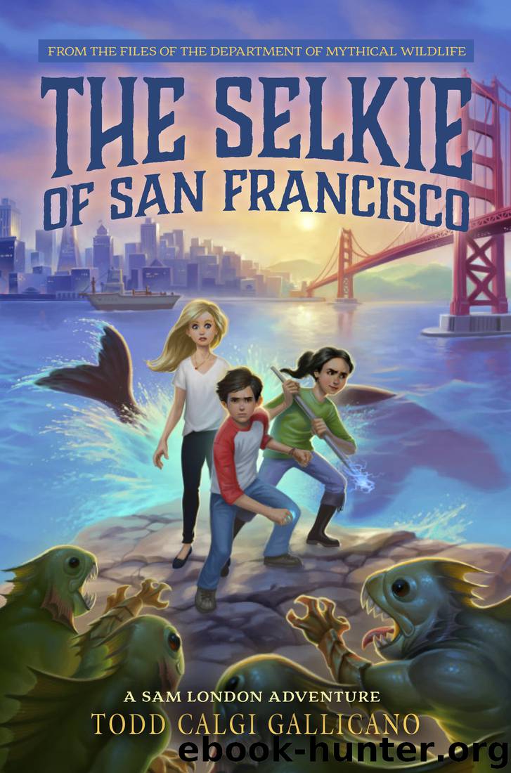 The Selkie of San Francisco by Todd Calgi Gallicano