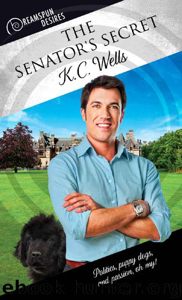 The Senator's Secret (Dreamspun Desires Book 17) by K.C. Wells