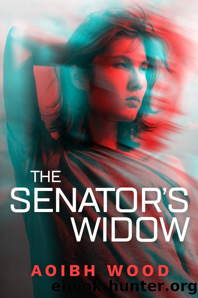 The Senator's Widow by Aoibh Wood