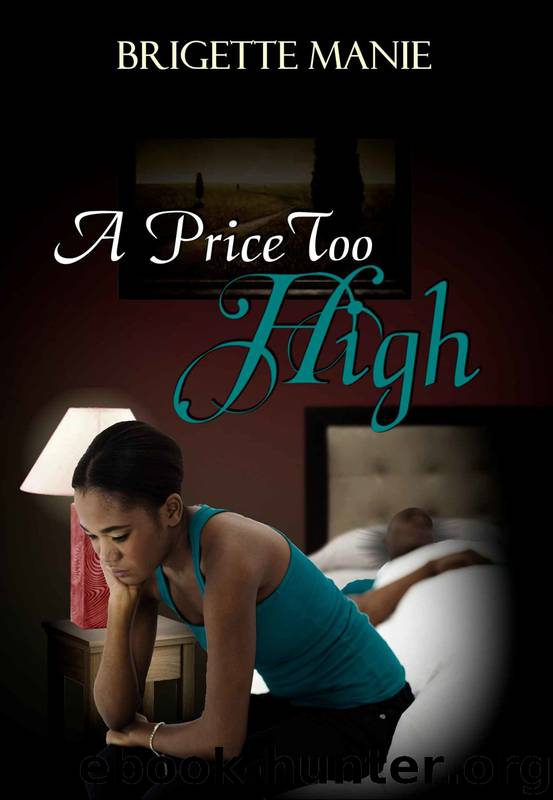 The Seneca Mountain Romances 2: A Price Too High by Brigette Manie