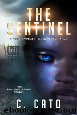 The Sentinel by C Cato