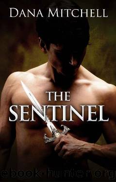 The Sentinel by Dana Mitchell