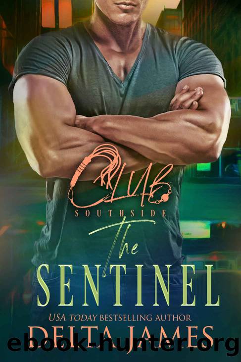 The Sentinel: A Steamy Romantic Suspense (Club Southside Book 3) by Delta James