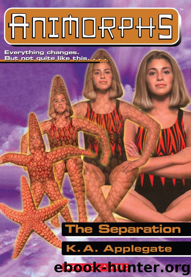 The Separation by K.A. Applegate