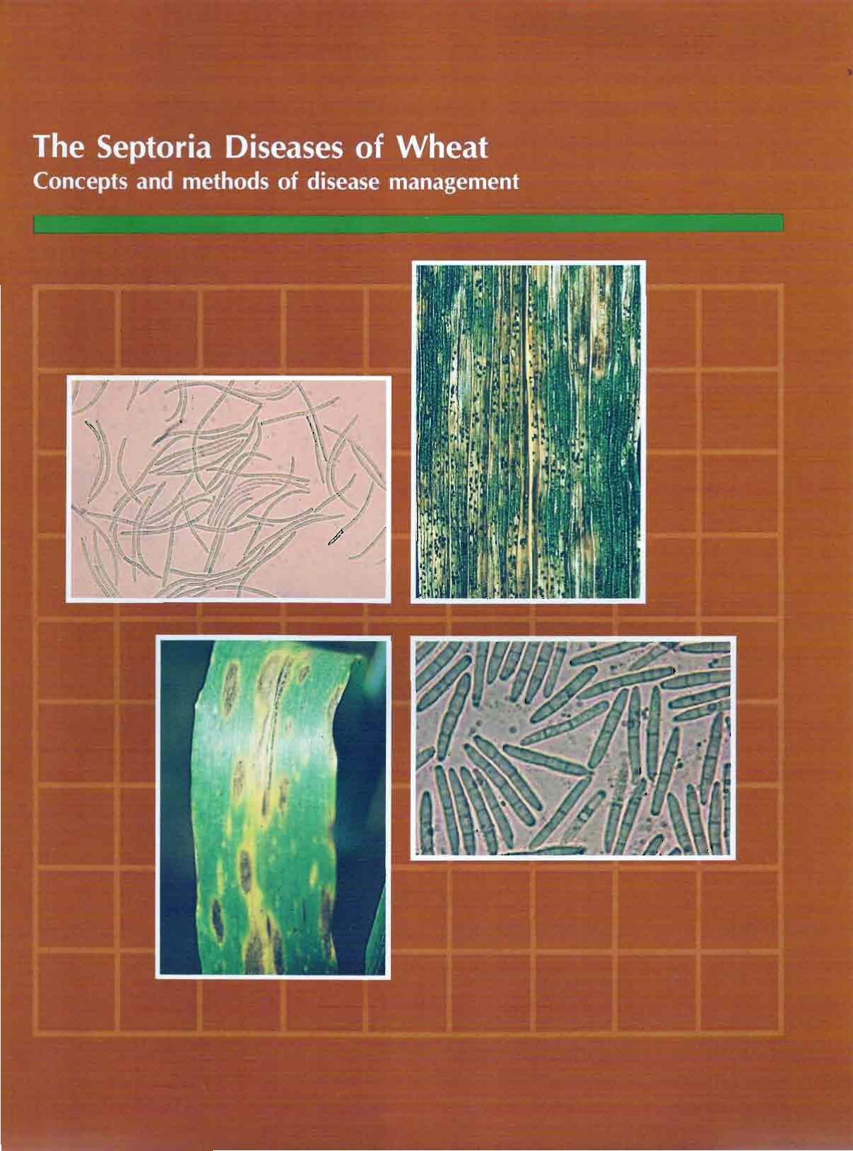The Septoria Diseases of Wheat: Concepts and methods of disease management by Eyal Z. Scharen A.L. Prescott J.M. Van Ginkel M
