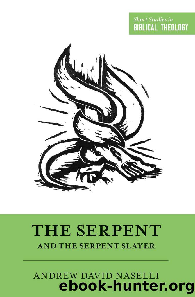 The Serpent and the Serpent Slayer by Unknown