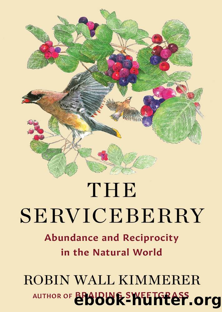 The Serviceberry by Robin Wall Kimmerer