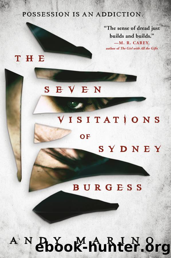 The Seven Visitations of Sydney Burgess by Andy Marino