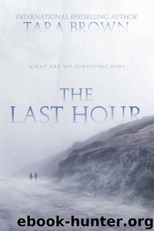 The Seventh Day (Book 2): The Last Hour by Brown Tara