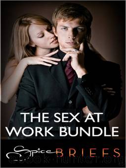 The Sex At Work Bundle by Kimberly Kaye Terry Cathleen Ross & Megan Hart