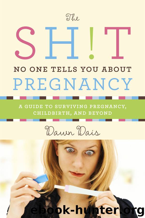 The Sh!t No One Tells You About Pregnancy: A Guide to Surviving Pregnancy, Childbirth, and Beyond by Dawn Dais