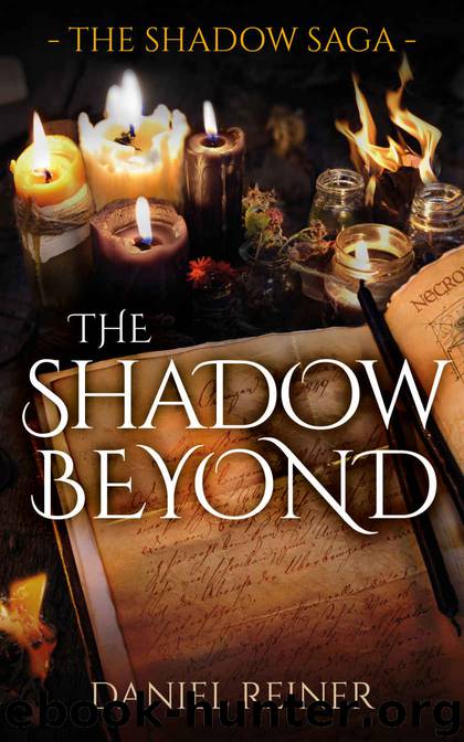 The Shadow Beyond by Daniel Reiner