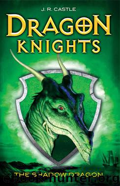 The Shadow Dragon by J.R. Castle
