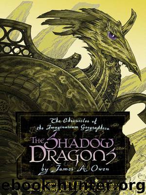 The Shadow Dragons by James A. Owen