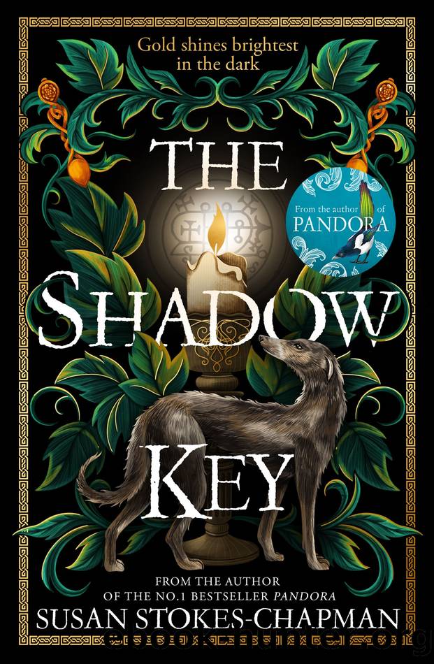 The Shadow Key by Susan Stokes-Chapman