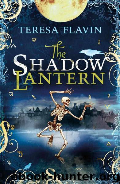 The Shadow Lantern by Teresa Flavin