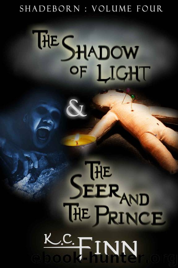 The Shadow Of Light & The Seer And The Prince (Shadeborn Book 4) by K.C. Finn
