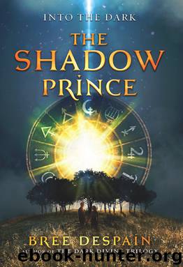 The Shadow Prince by Bree Despain