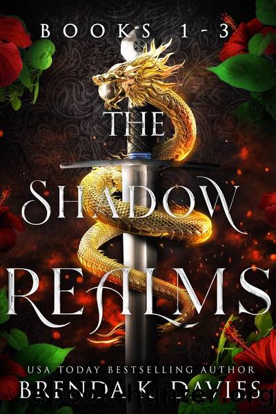 The Shadow Realms Box Set (Books 1-3) by Brenda K. Davies