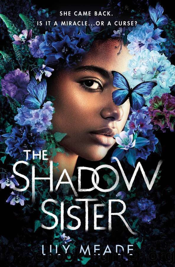 The Shadow Sister by Lily Meade