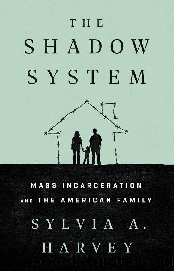 The Shadow System by Sylvia A. Harvey