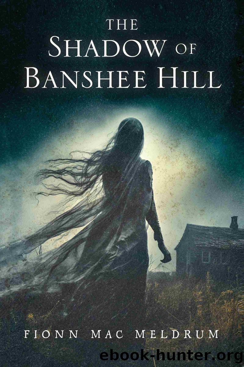 The Shadow of Banshee Hill by Fionn Mac Meldrum