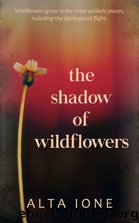 The Shadow of Wildflowers by Alta Ione