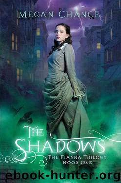 The Shadows (Fianna Trilogy Book 1) by Megan Chance