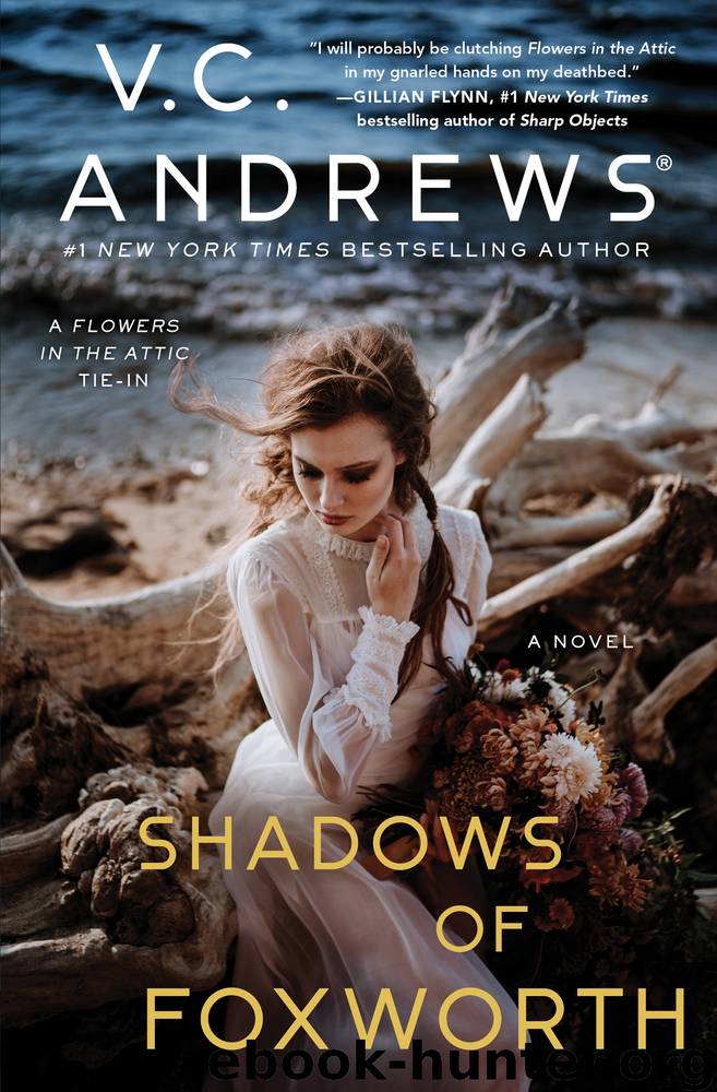 The Shadows of Foxworth by V.C. Andrews
