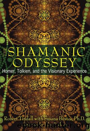 The Shamanic Odyssey by Robert Tindall;Susana Bustos;