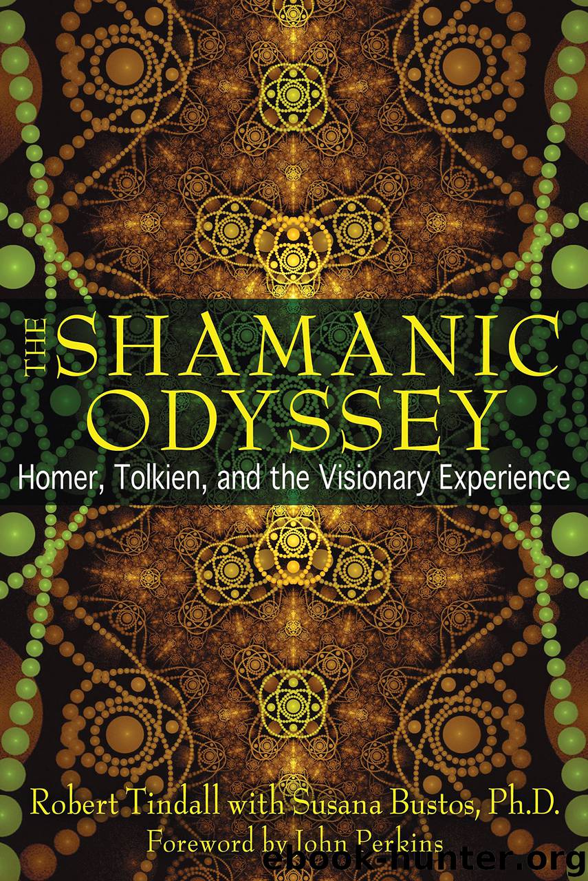 The Shamanic Odyssey: Homer, Tolkien, and the Visionary Experience by Robert Tindall