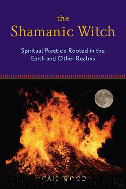 The Shamanic Witch: Spiritual Practice Rooted in the Earth and Other Realms by Gail Wood