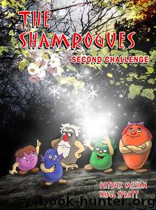 The Shamrogues by Patrick Meehan