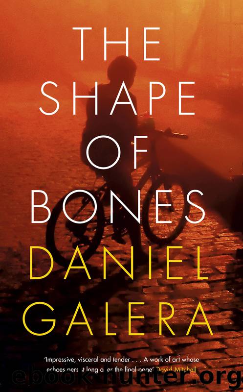 The Shape of Bones by Daniel Galera